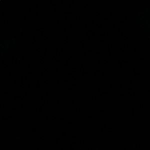 Meet your Posher, Brandi